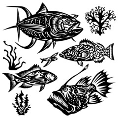 Set of marine exclusive fish in black with various patterns. A collection of inhabitants of the underwater world. Tattoos, emblems for clothes. Vector isolated illustration
