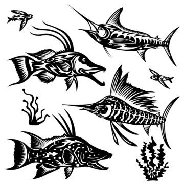 Set of marine or aquarium exotic fish in black with various patterns. A collection of inhabitants of the underwater world. Tattoo emblems. Vector isolated illustration