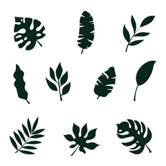 Set of isolated plants. Tree leaf stencils. Flat black and white illustration.