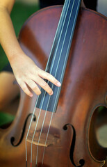 bow and cello plying from buttom view in music concert