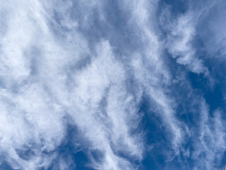 青空と綿菓子のような白い雲