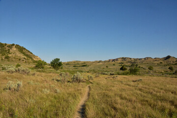 Narrow Hiking Trail Through Grasslands into Hills