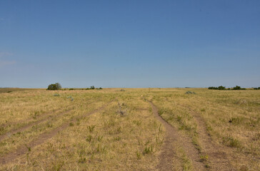 Fototapeta na wymiar Grasslands with Narrow Game Trails Meandering Through