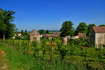 Fototapeta na wymiar Arthies, France - may 26 2020 : picturesque village
