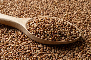 Wooden spoon with raw wholegrain buckwheat groats close-up. Macro of roasted organic buckwheat grains. Ingredient for gluten free diet, vegetarian food and dietary fiber concepts.
