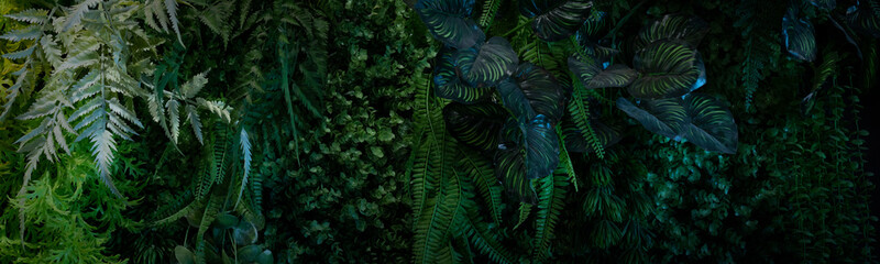 Creative nature green background, tropical leaf banner or floral jungle pattern concept.