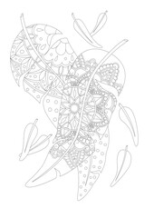 Mandalas and feathers coloring page - obrazy, fototapety, plakaty
