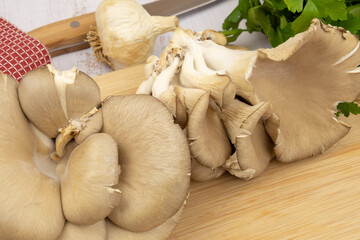 Fototapeta premium Oyster mushrooms on wooden board