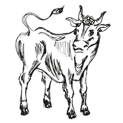 Cow silhouette. Freehand drawing. Black silhouette on a white background. 