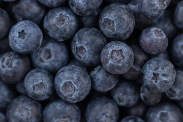 Ripe blueberries on a plate