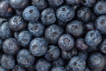 Ripe blueberries on a plate
