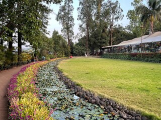 Obraz premium lavender field