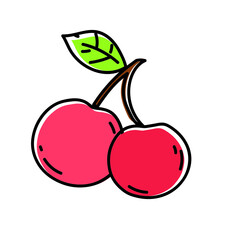 illustration of a cherry