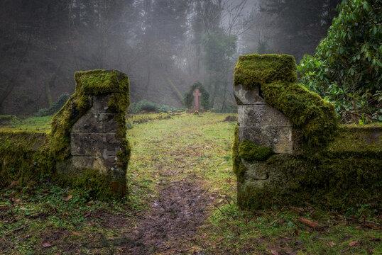 Abandoned Church Yard on a misty morning 