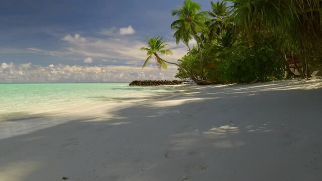 serene beach scene with calm waves and beautiful palm trees on the maldives