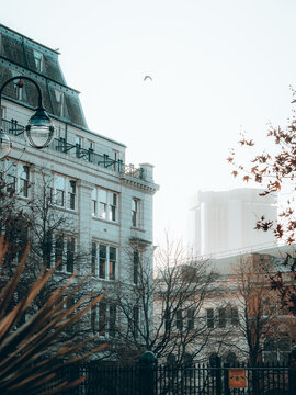 Misty Day