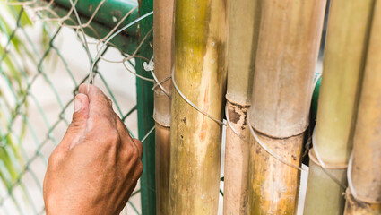 A man ties together split bamboo poles with nylon string, affixing it to a chain link fence to...