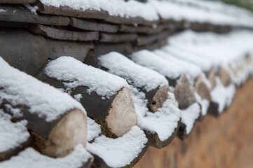 firewood in the snow