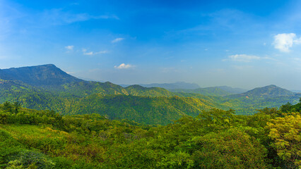 Fototapeta na wymiar Mountain National Park in Thailand rainforest 
