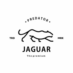 vintage retro hipster jaguar logo vector outline monoline art icon