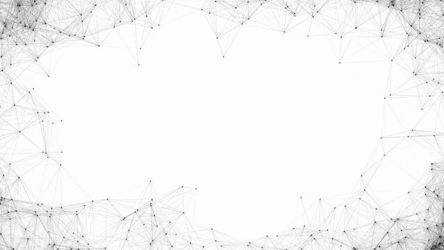 Network animation connected data dots on white background frame with copy space. Seamless loop 4K 