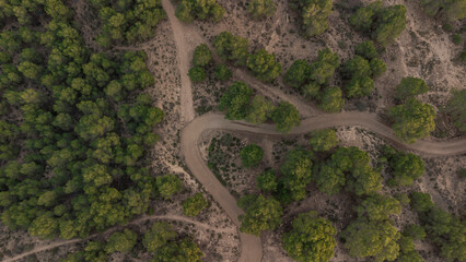 Paisaje a vista de dron de una carretera perdida en los arboles 