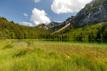 Lake Frillensee on a sunny summer day, Inzell, Bavaria