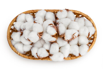 Cotton plant flower in a wicker basket isolated on white background with clipping path and full depth of field. Top view. Flat lay
