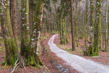 GR and BTT trail. Urkiaga
