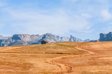 Fototapeta na wymiar Autumn yellow meadows on the plateau Seiser Alm with a view of Langkofel Group mountains