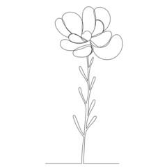 flower, plant one line drawing, outline, isolated, vector