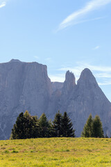 Punta Euringer mountain in the morning. Seiser Alm, South Tyrol, Italy (Vertical photo)