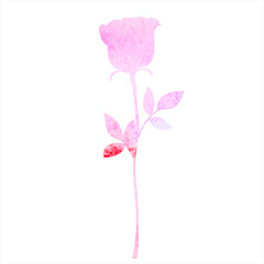 rose watercolor silhouette, isolated vector