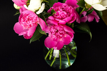 Bouquet of pink and white peonies in glass vase on black background. Floral card design. Selective focus