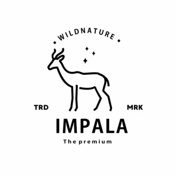 vintage retro hipster impala logo vector outline monoline art icon