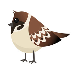 Cartoon sparrow. Bird isolated on a white background vector illustration