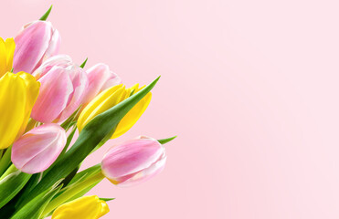 Bouquet of pink and yellow tulip flowers on pink background