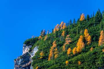 Autumn and golden reflections on Lake Braies. Park of the Dolomites.