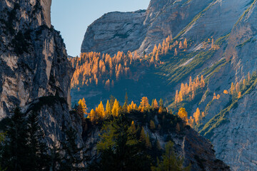 Obraz premium Autumn and golden reflections on Lake Braies. Park of the Dolomites.
