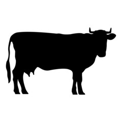 cow realistic silhouette side view isolated white background