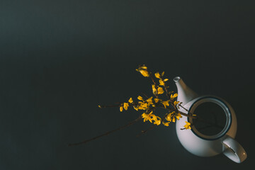 a branch with yellow forsythia flowers in a teapot