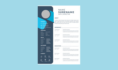 Beautiful Cv Resume template