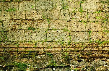 Stone masonry of walls and fences of ancient fortress structures covered with green moss. The ancient city of Angkor wat in Cambodia. Background wall with texture of green moss and plants.