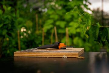 Greenhouse life, Tomato 