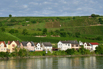 Fototapeta na wymiar Rhine valley; Germany- august 11 2021 : cruise between Strasbourg and Mainz