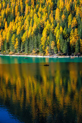 Autumn and golden reflections on Lake Braies. Park of the Dolomites.