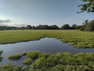 landscape with lake and clouds