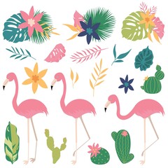 Vector set summer with flamingo