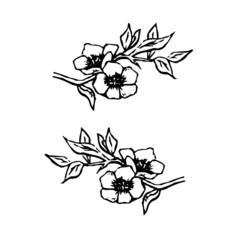 black and white silhouettes of flowers