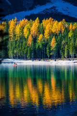 Autumn and golden reflections on Lake Braies. Park of the Dolomites.